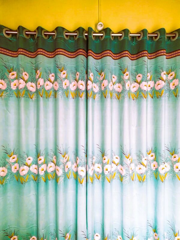 Caroline Curtain